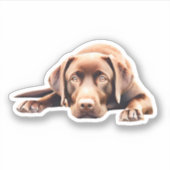 Cute Chocolate Lab Sticker (Voorkant)