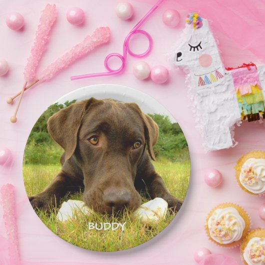 Cute Chocolate Labrador Custom Papieren Bordje (Feest)