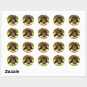 Cute Chocolate Labrador Custom Ronde Sticker (Vel)