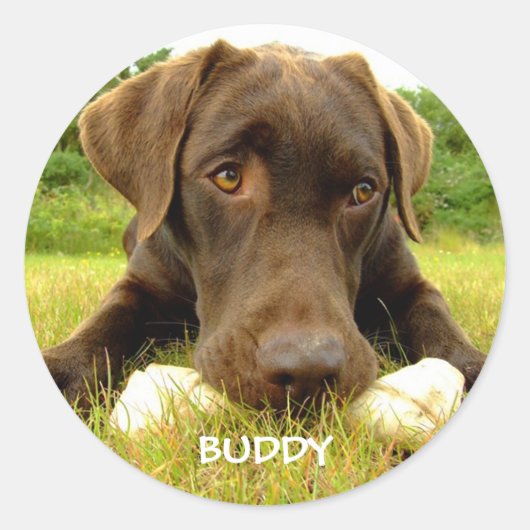 Cute Chocolate Labrador Custom Ronde Sticker (Voorkant)