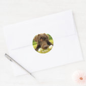 Cute Chocolate Labrador Custom Ronde Sticker (Envelop)