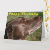 Cute Chocolate Labrador Dog - Happy Birthday Kaart (Gele Bloem)