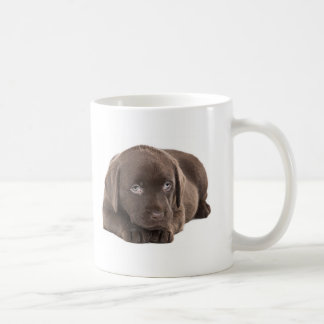 Cute Chocolate Labrador Puppy Koffiemok