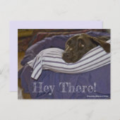 Cute Chocolate Labrador Retriever in aangepaste be Briefkaart (Voorkant / Achterkant)