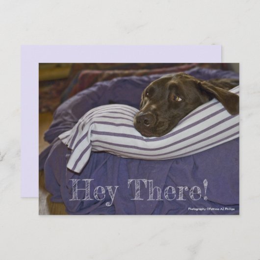Cute Chocolate Labrador Retriever in aangepaste be Briefkaart (Voorkant / Achterkant)