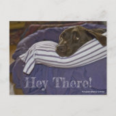 Cute Chocolate Labrador Retriever in aangepaste be Briefkaart (Voorkant)