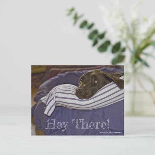 Cute Chocolate Labrador Retriever in aangepaste be Briefkaart (Staand voorkant)