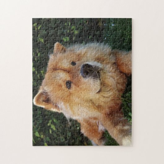 Cute Chow Chow dog Legpuzzel (Verticaal)