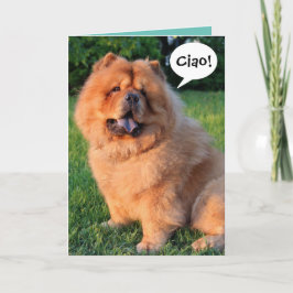 Cute Chow Gezegde "Ciao!"Wenskaart Kaart