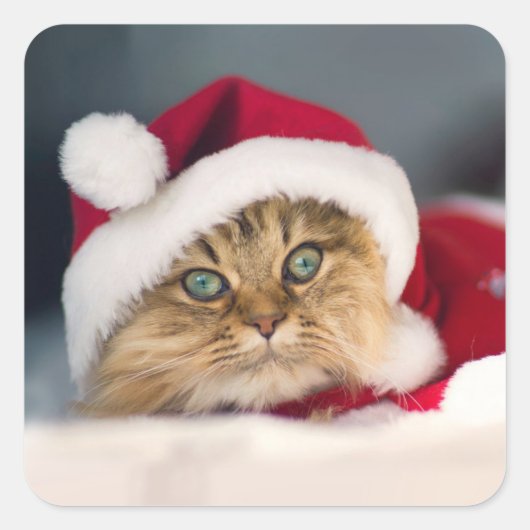 Cute Christmas cat lying Vierkante Sticker (Voorkant)