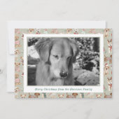 Cute Christmas Dogs Photo Feestdagenkaart (Voorkant)