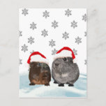 Cute Christmas Guinea pigs in Santa Hats Feestdagenkaart<br><div class="desc">Cute Christmas Guinea pigs in Santa Hats</div>