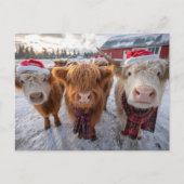 Cute Christmas Highland Cows in Snow Briefkaart (Voorkant)