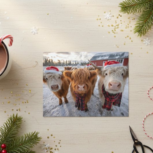 Cute Christmas Highland Cows in Snow Briefkaart