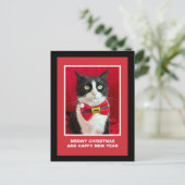 Cute Christmas Tuxedo Cat Postcard Feestdagenkaart (Staand voorkant)