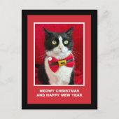 Cute Christmas Tuxedo Cat Postcard Feestdagenkaart (Voorkant)