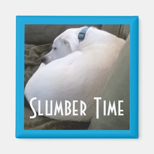 Cute Chubby White Sleeping Puppy Dog Slumber Party Magneet (Voorkant)