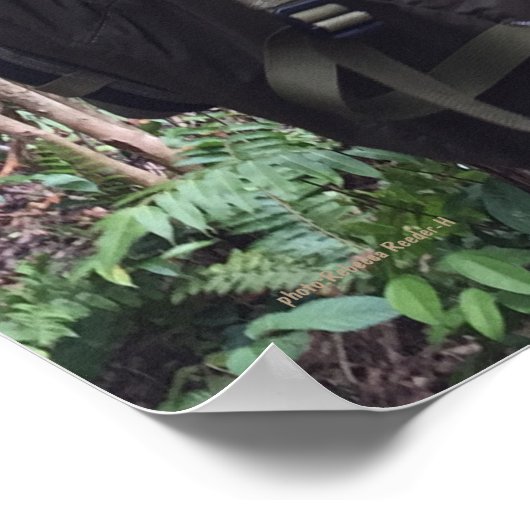 Cute Classroom Teacher Student Backpack Poster (Hoek)