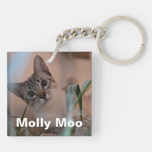 Cute Clowder of Cats Illustration with LOVE Photo Sleutelhanger (Achterkant)