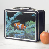 Cute Clown Fish in koraal (In situ)