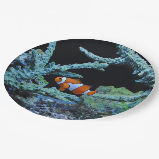 Cute Clown Fish in koraal Papieren Bordje (Gekanteld)
