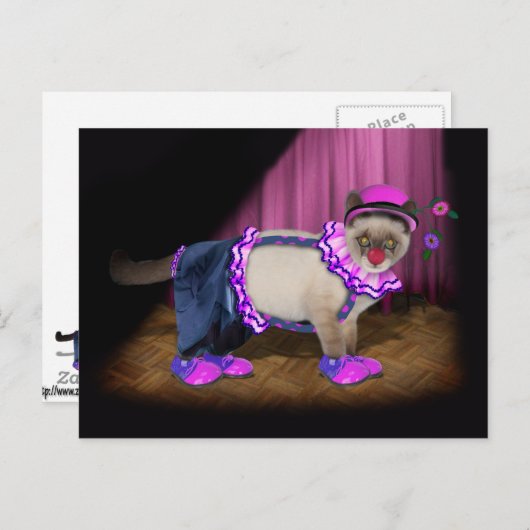 Cute Clown Kat Briefkaart (Voorkant / Achterkant)