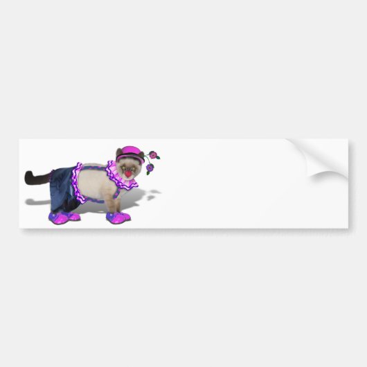 Cute Clown Kat Bumpersticker (Voorkant)