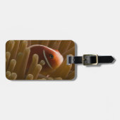 Cute Clownfish Bagagelabel (Voorkant horizontaal)