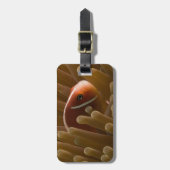Cute Clownfish Bagagelabel (Voorkant verticaal)