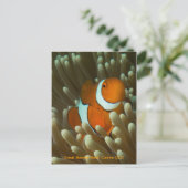 Cute Clownfish briefkaart (Staand voorkant)