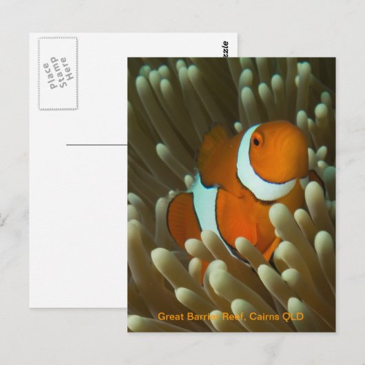 Cute Clownfish briefkaart (Voorkant / Achterkant)