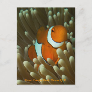 Cute Clownfish briefkaart