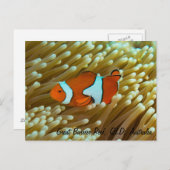 Cute Clownfish Briefkaart (Voorkant / Achterkant)
