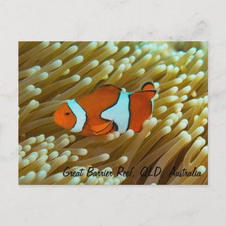 Cute Clownfish Briefkaart