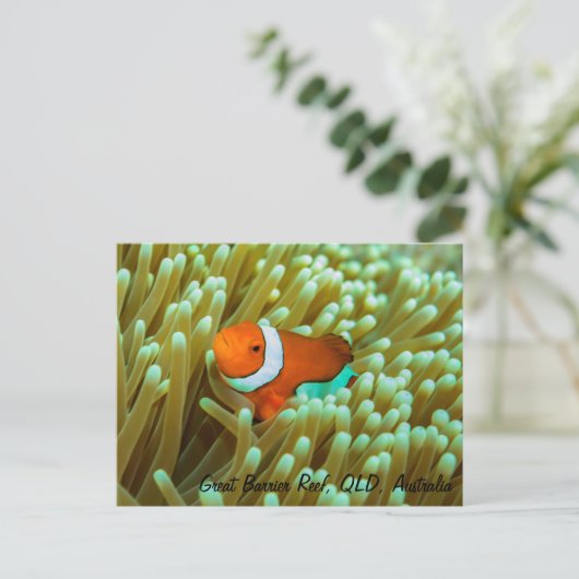 Cute Clownfish Briefkaart (Staand voorkant)