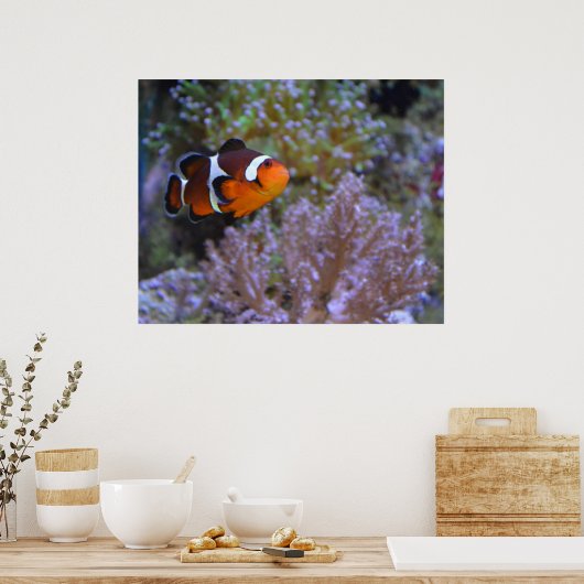 Cute Clownfish Zee Anemone Coral Underwater foto Poster (Keuken)