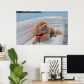 Cute Cockapoo Dog Foto met Life Vest Poster (Thuiskantoor)