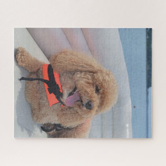 Cute Cockapoo Dog met Life Vest Legpuzzel (Horizontaal)
