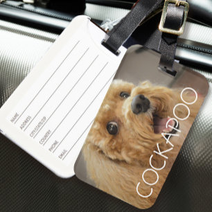 Cute Cockapoo Hond Huisdier Dier Hondenliefhebber Bagagelabel