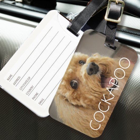 Cute Cockapoo Hond Huisdier Dier Hondenliefhebber Bagagelabel