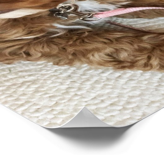 Cute Cockapoo Puppy Poster (Hoek)