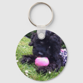 Cute Cockapoo Puppy Round Button Key Ring Sleutelhanger