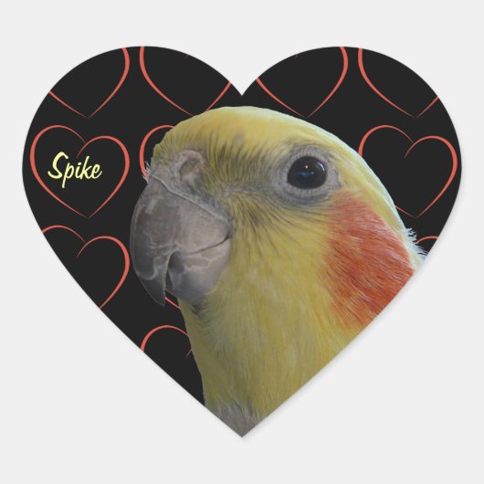 Cute Cockatiel and Hearts Hart Sticker (Voorkant)