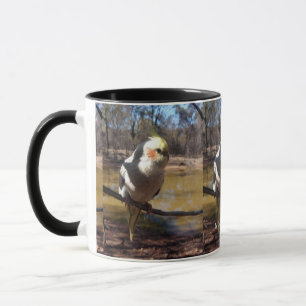 Cute Cockatiel-Mok Mok