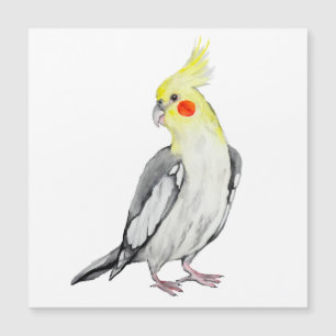 Cute Cockatiel Waterverf Parrot.