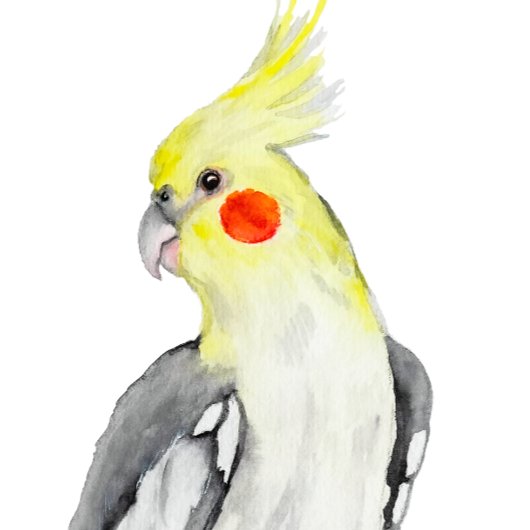 Cute Cockatiel waterverf parrot. Ornament