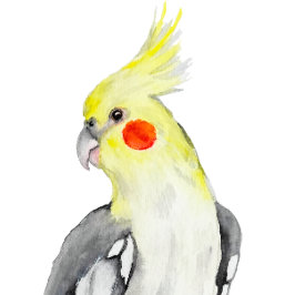 Cute Cockatiel Waterverf Parrot. Sticker