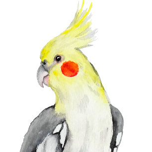 Cute Cockatiel Waterverf Parrot. T-shirt