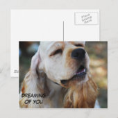 Cute Cocker Briefkaart (Voorkant / Achterkant)