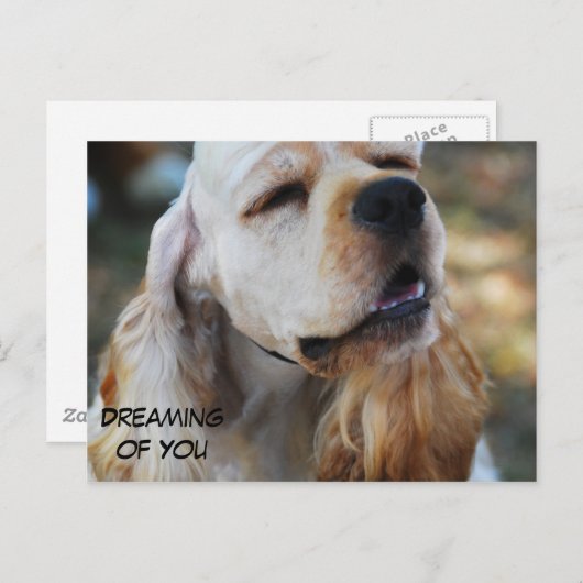 Cute Cocker Briefkaart (Voorkant / Achterkant)